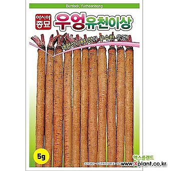 아시아종묘 우엉씨앗종자 뿌리우엉 유천이상(5g) 1