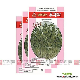 아시아종묘 채소씨앗 - 새싹씨앗 유채싹(30gx3) 새싹채소 1