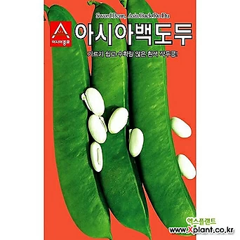아시아종묘 작두콩씨앗 아시아 백도두 작두콩(50g) 1