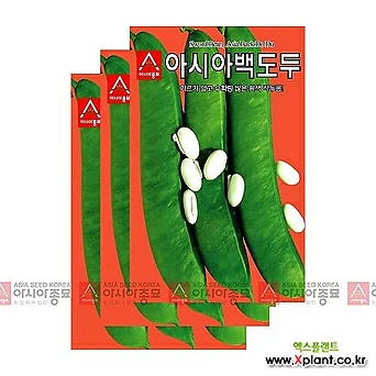 아시아종묘 채소씨앗 - 아시아 백도두 작두콩(5립x3) 1