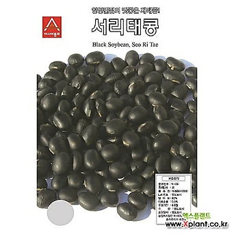 (아시아종묘/콩씨앗종자) 서리태콩-검은콩(1kg) 1