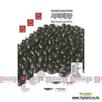 아시아종묘 채소씨앗 - 서리태콩-검은콩(50gx3) 1