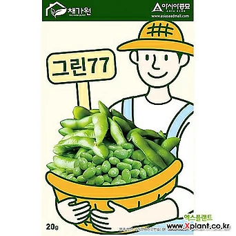 아시아종묘 콩종자씨앗 풋콩 그린77(20g) 에다마메 지두 1
