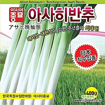 아시아종묘 파종자씨앗 아사히반추(400g) 1