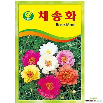 영농사 채송화 꽃씨앗 소포장 1