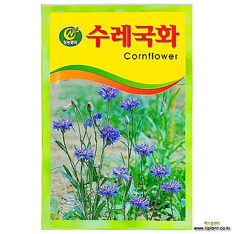 영농사 수레국화 꽃씨앗 소포장 1