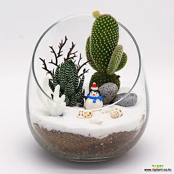 미미네아쿠아 눈 덮힌 사막 테라리움 DIY 키트 1