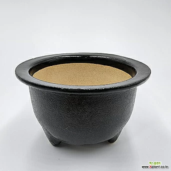 넓은풍란분 맥유약분 glazed clay pot 재배분 원예종 1