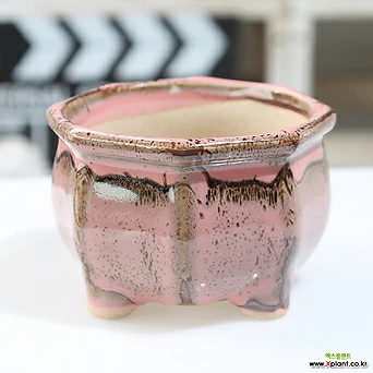 중형 팔각단지(핑크) 컬러 다육화분 예쁜 유광 1