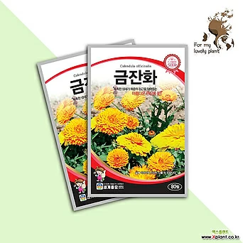 금잔화 80립 세계종묘 화훼류 씨앗 국화과꽃 메리골드 1