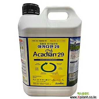 아카디안 29 5L 영양제 /영양제 추가증정 1