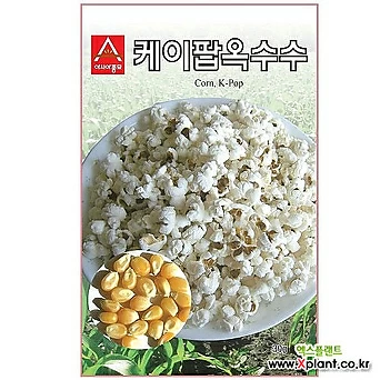 케이팝옥수수 (팝콘용옥수수) 20g 아시아종묘  씨앗 1