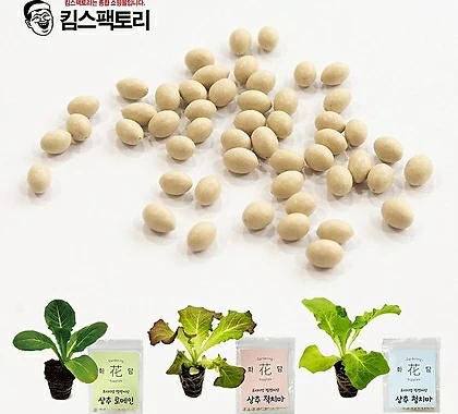 상추씨앗 3종 1세트 쌈채소 상추키우기 실내 베란다텃밭 펠렛코팅씨앗 - Xplant